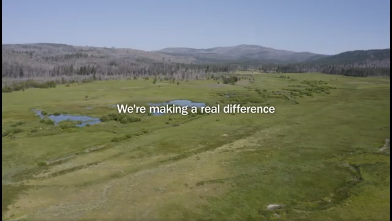 Meadows Rising: Restoring California's Mountain Heartlands