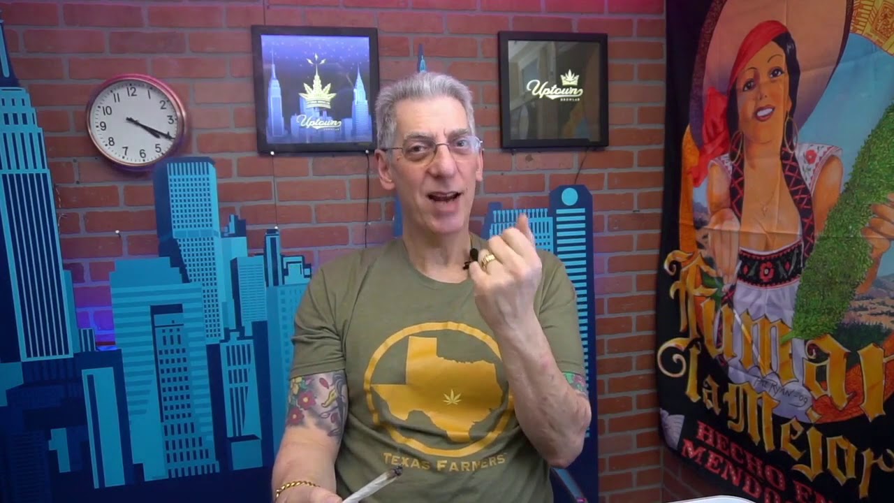 #Gelato Cake from Royal Gardens #Cannabis #StrainReview
