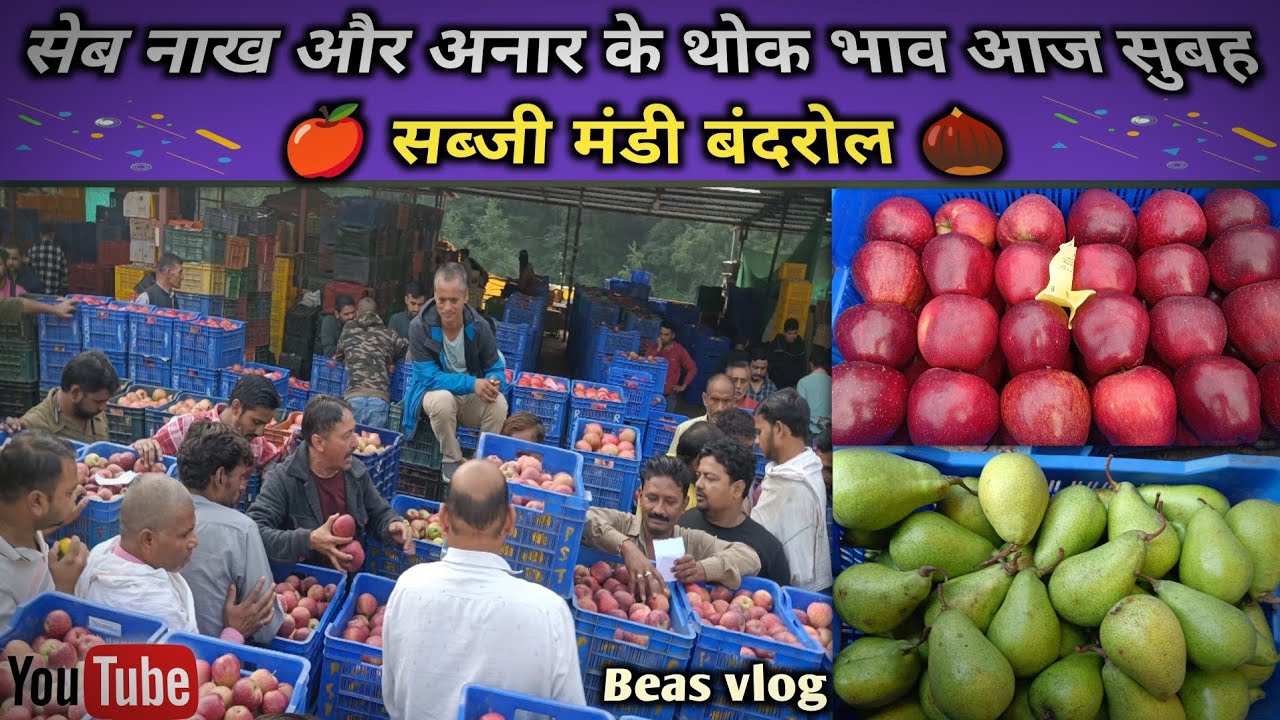सेब नाख और अनार के थोक भाव बंदरोल सब्जी मंडी 🌰🍐🍎 Wholesale prices of apples  nakh and pomegranates