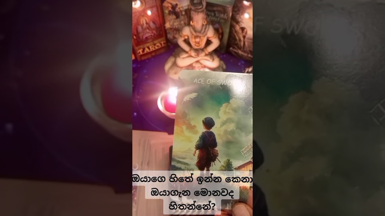 ඔයාගෙ  හිතේඉන්න   කෙනා  ඔයා ගැන මොකද හිතන්නේ?#tarrot #viral #fpyyyyyy #fortuneteller#pppppppppppppp#