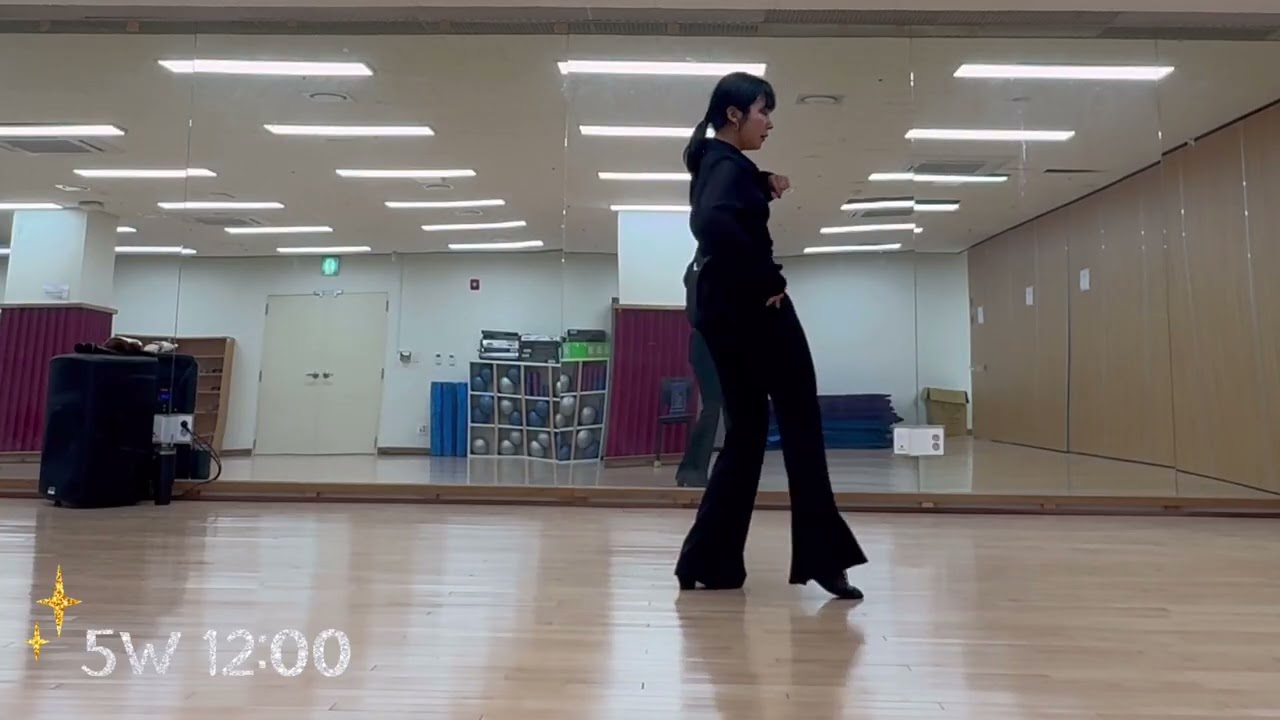 FULL•Pretty Pitbull••왕초보 라인댄스