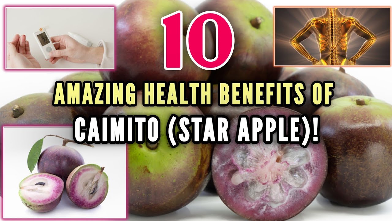 10 Health Benefits of Caimito (Star Apple) You Need to Know!