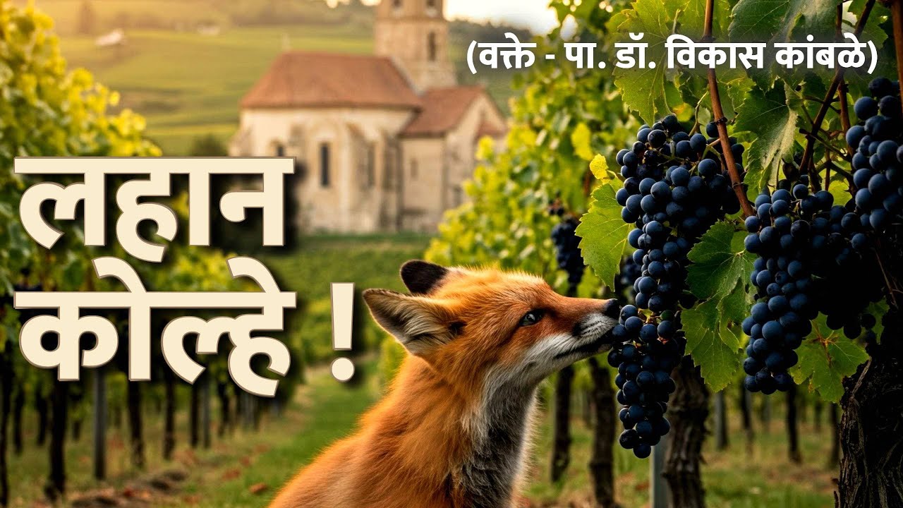 लहान कोल्हे !