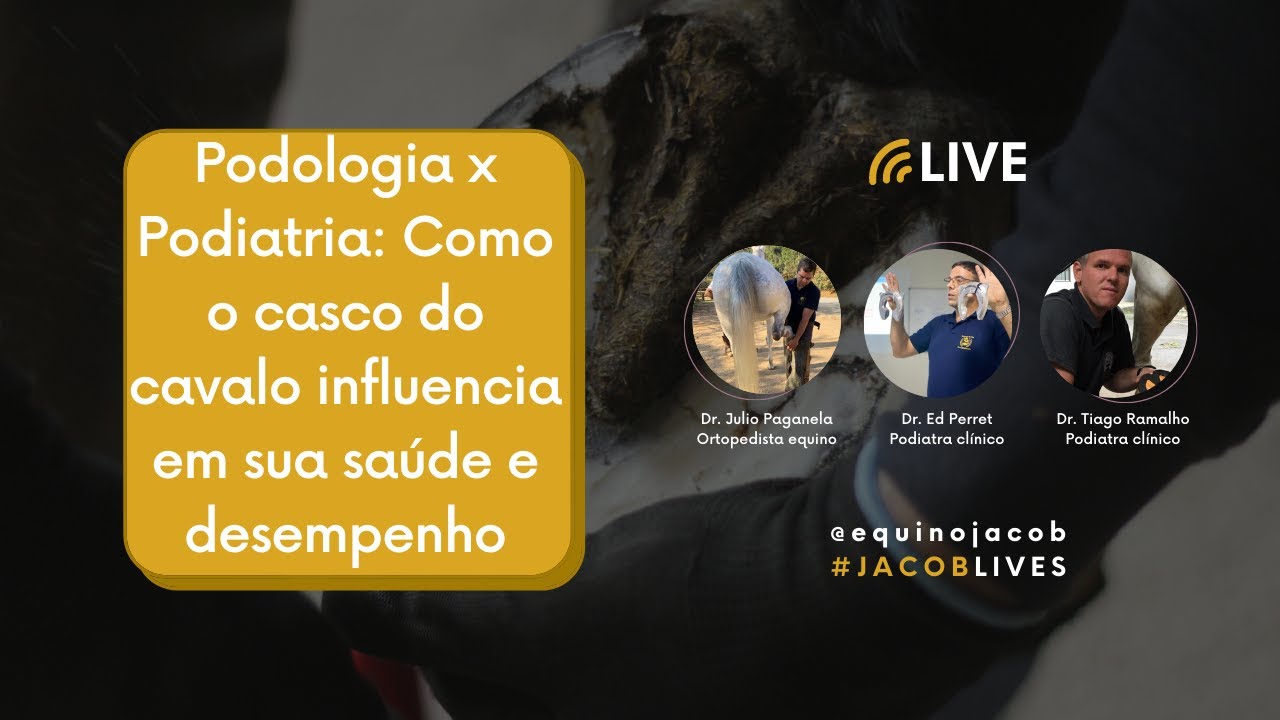 Podologia x Podiatria: Como o casco do cavalo influencia em sua saúde e desempenho