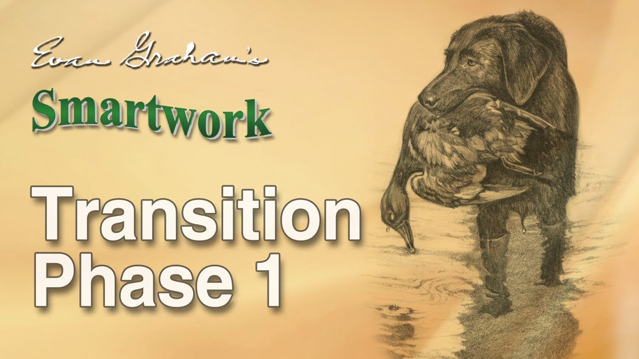 Smartwork Transition Phase 1: How to Fix Breaking Dogs