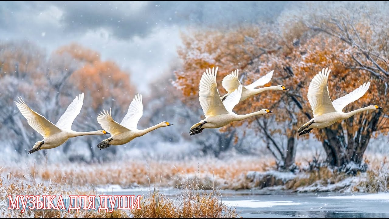 Красивая Мелодия До Слез! Сборник Лучших Мелодий От Которых Мурашки По Телу#winter#музыка#relax