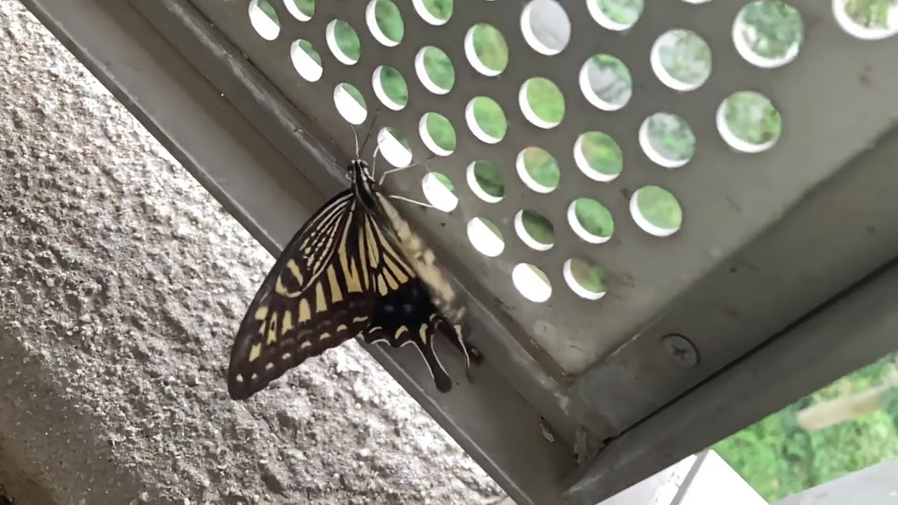 20250915訪問