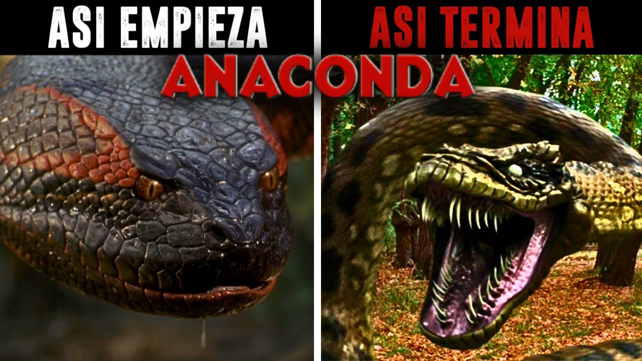 ASI EMPIEZA Y TERMINA ANACONDA LA SAGA COMPLETA