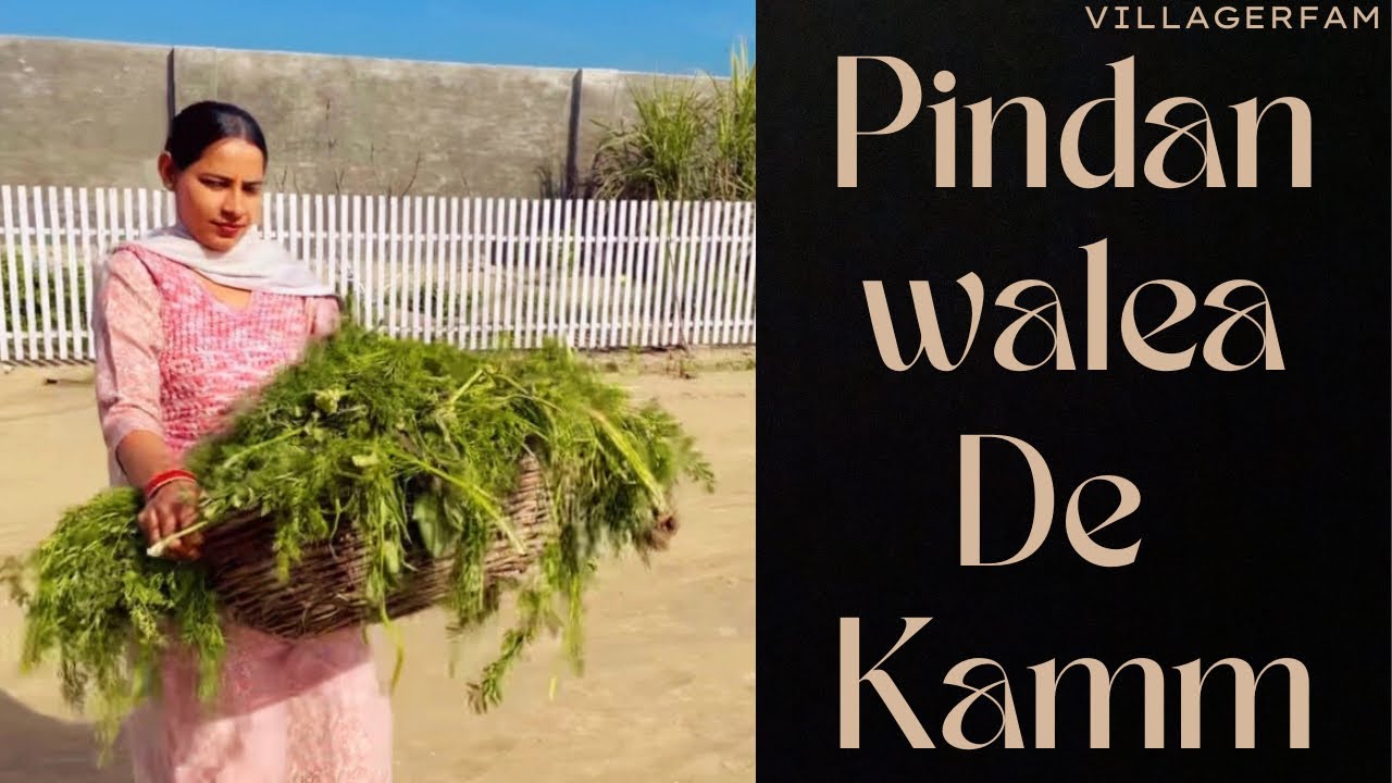 Daily Vlog | Roj De Kamm Kar | Villagerfam