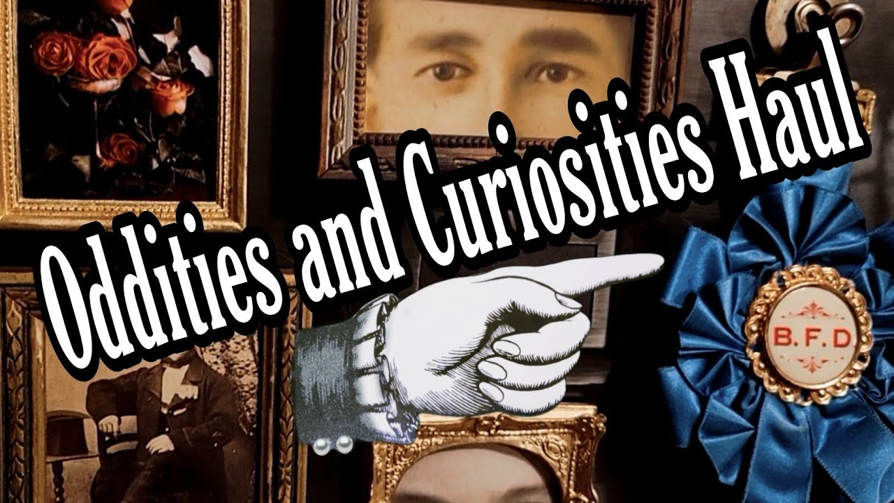 Oddities and Curiosities Expo Haul/ Plus a Giveaway! #oddities #curiosities