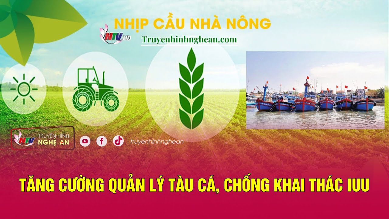 [🔴Trực tiếp] Nhịp cầu nhà nông: Tăng cường quản lý tàu cá, chống khai thác IUU