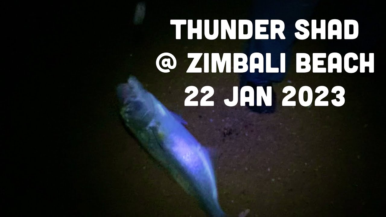 Action Packed Fishing at Zimbali Beach Durban South Africa 22 Jan 2023