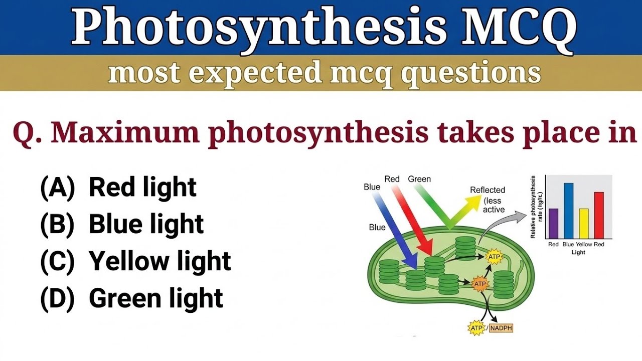 Plant Physiology MCQ : Photosynthesis :Biology MCQs
