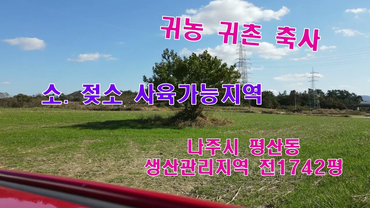 #전남토지(2433)나주시 평산동 생산관리지역 전1742평 귀농 귀촌 소.젖소 축사적합 농.수산물 가공공장 저온창고 냉동창고 스마트팜 적합  국민부동산tv 010-5878-2040