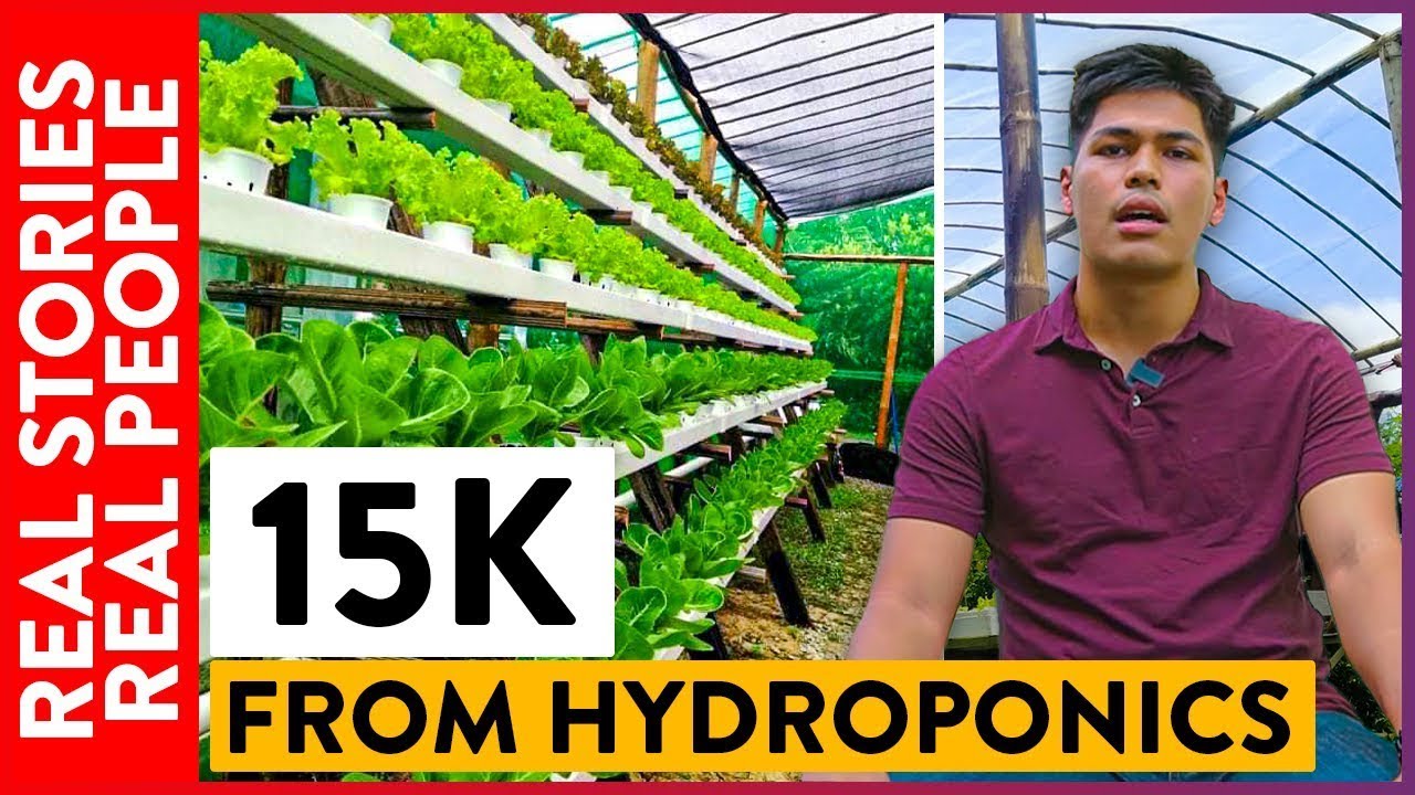 How This 21-Year-Old Started Hydroponics Farming With Only 1k Capital | Real Stories Real People |OG