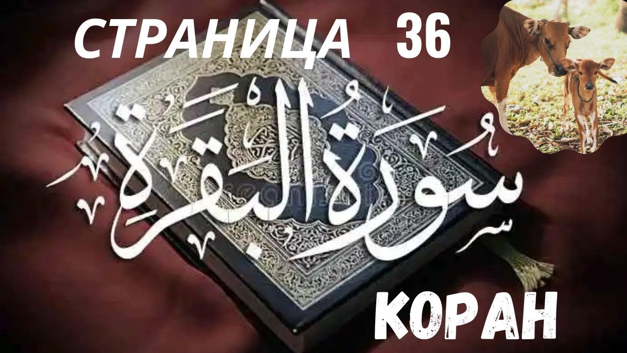 36 страница Корана суры Бакара, ее чтение такое красивое и расслабляющее.