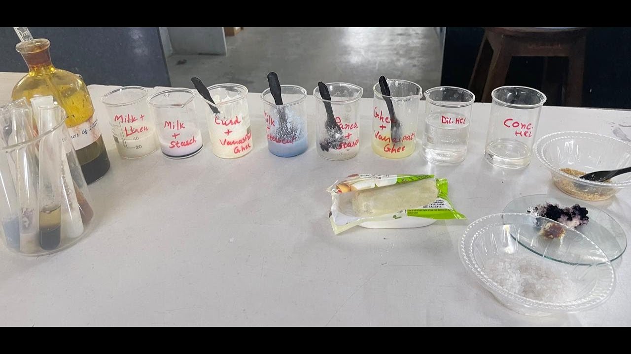 Milk and Milk product Adulteration Test - What's in your Milk and Paneer ?