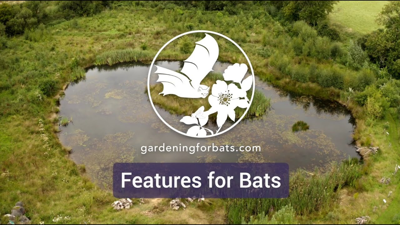Gardening for Bats: Features for Bats