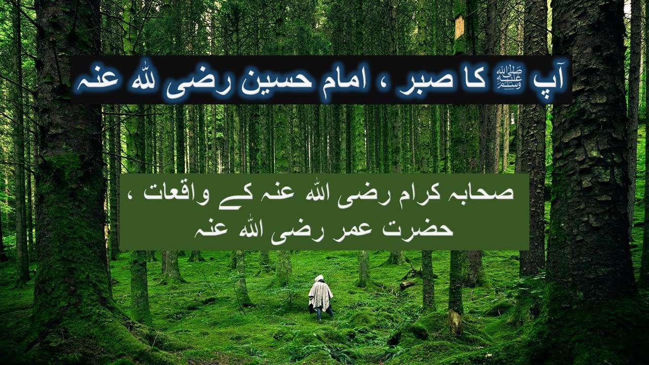 Idreesia Taleem|| AAP SAW Ka Sabar, Imam Hussain RA||