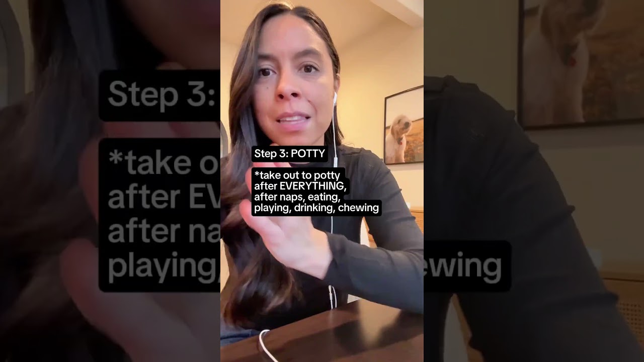 NEW PUPPY SCHEDULE 📝 4 easy steps #puppy #dogtraining