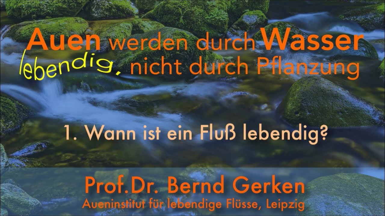 Auen 1, wann ist ein Flu&szlig; lebendig?