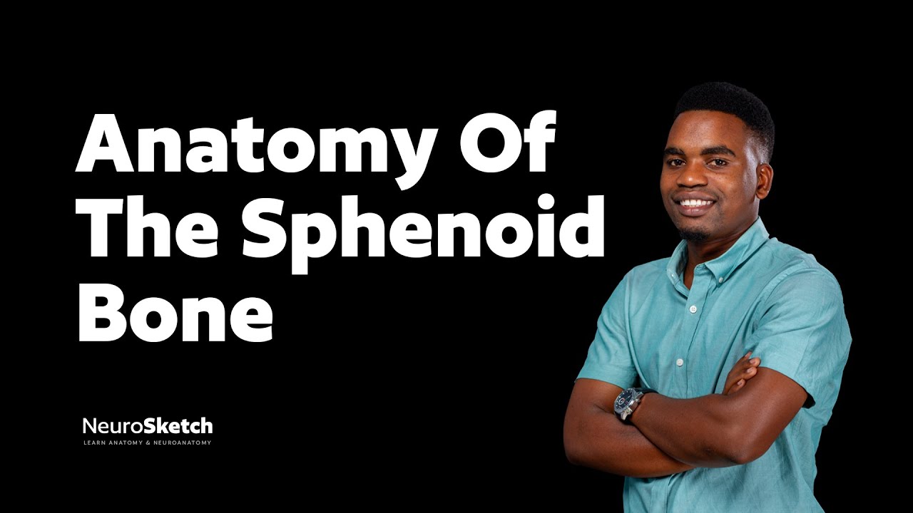 Anatomy of Sphenoid bone| Approaching Cranial Cavity