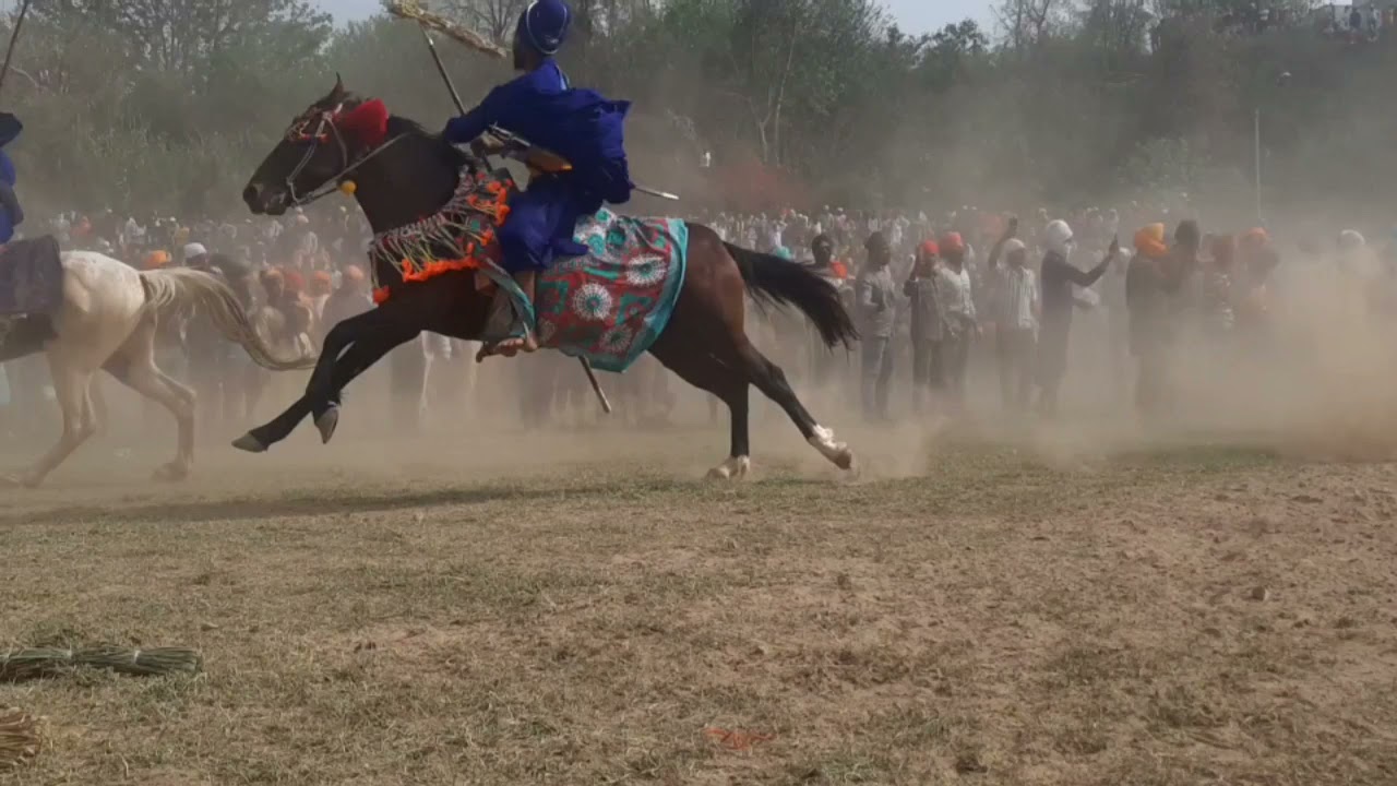 ਹੋਲਾ ਮਹੱਲਾ 2021 (ਘੋੜਸਵਾਰੀ ਦੋੜਾ)