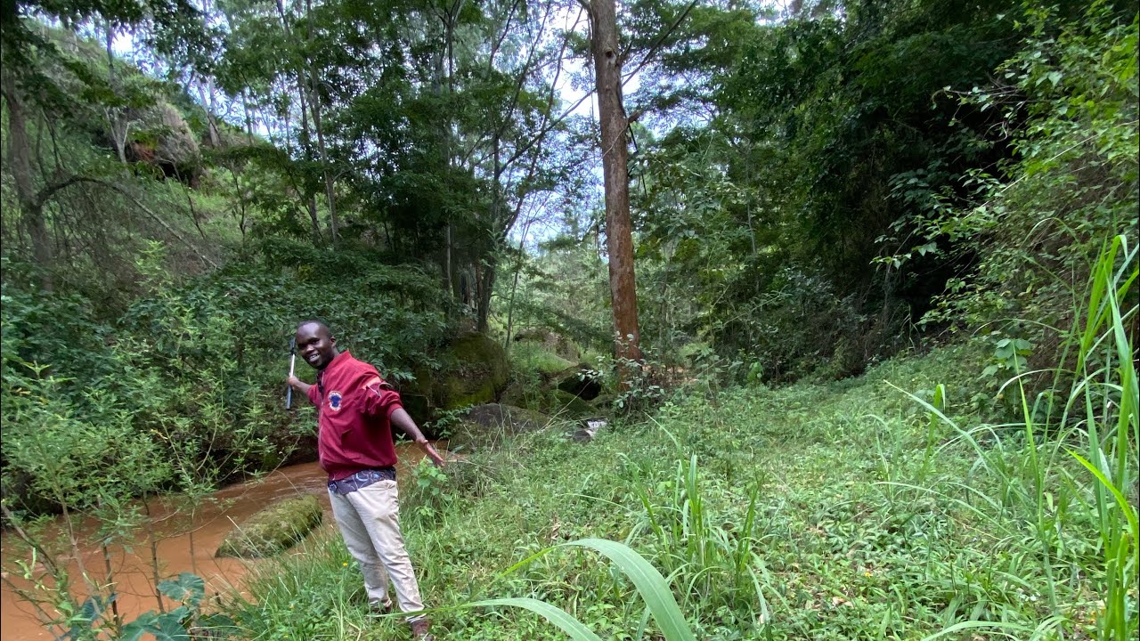 🌿 VILLAGE TOUR – Getting Down to River Ndarugo | Gatundu, Kiambu County, Kenya 🇰🇪Welcome#NatureVibes