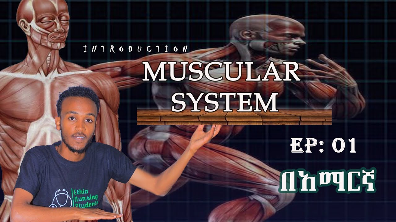 Anatomy Muscular System Intro Ep: 01