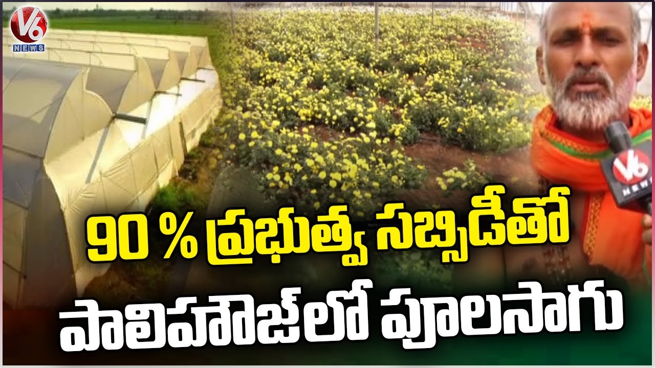 Nizamabad Farmer Gangaram Nayak Growing Flowers In Polyhouse with 90% Subsidy | V6 News
