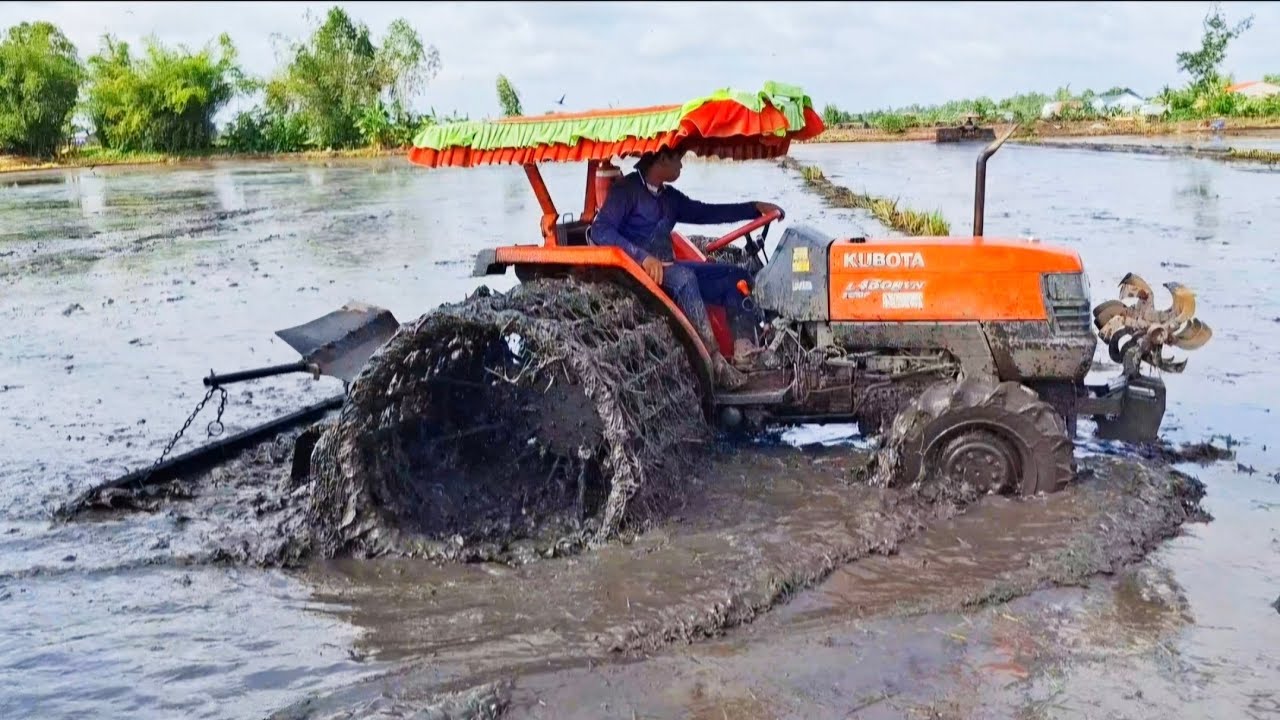 Cuối vụ xới gặp đất khá lầy