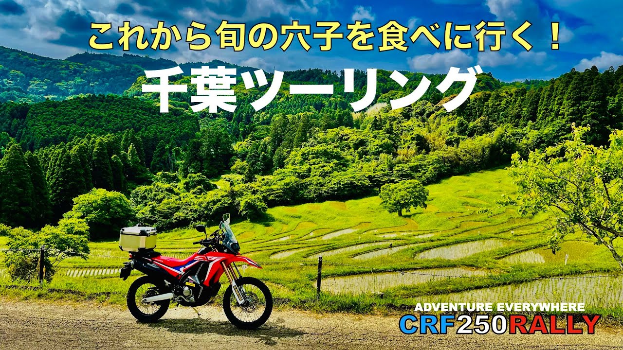 【千葉ツーリング】これから旬を迎える穴子を食べに行ってきた【CRF250RALLY】