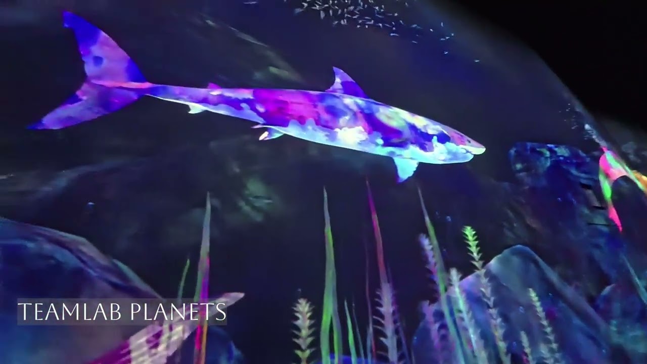 Japan Vlog (Day 1): teamLab Planets