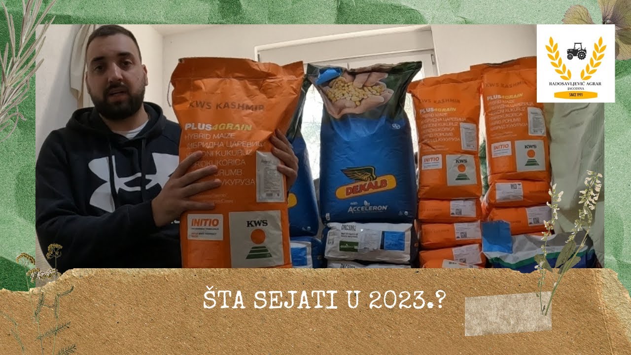 ŠTA SEJATI U 2023.? ODABIR HIBIRDA KUKURUZA I SUNCOKRETA