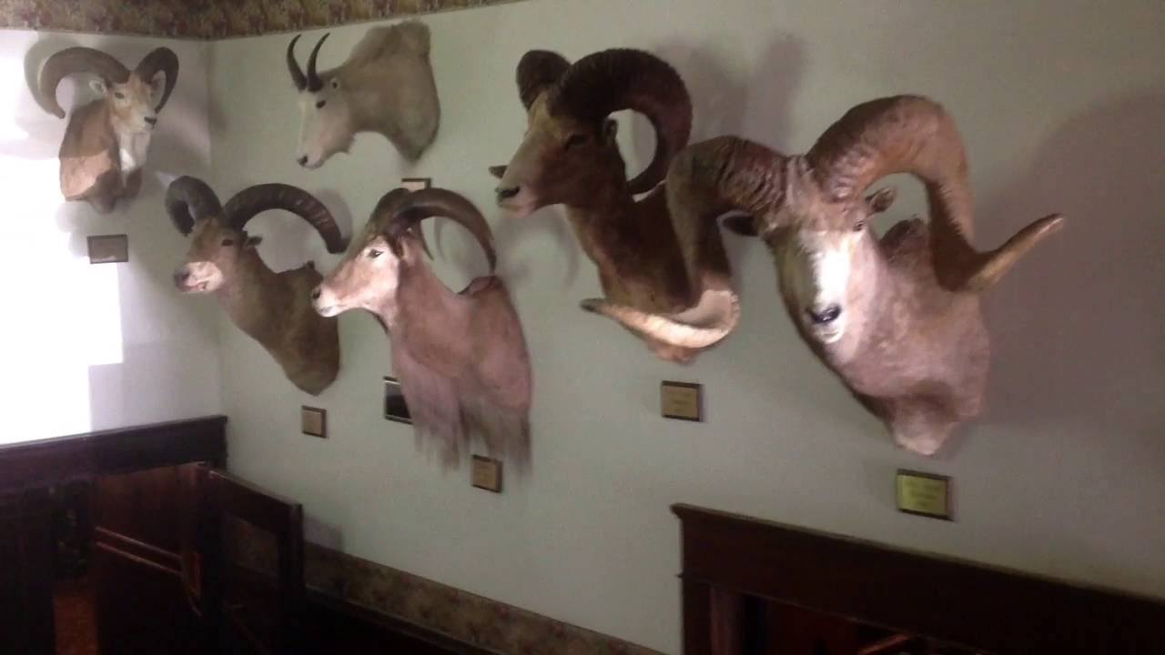 My stay at the Haunted Buffalo Bill Irma Hotel in Cody Wyoming