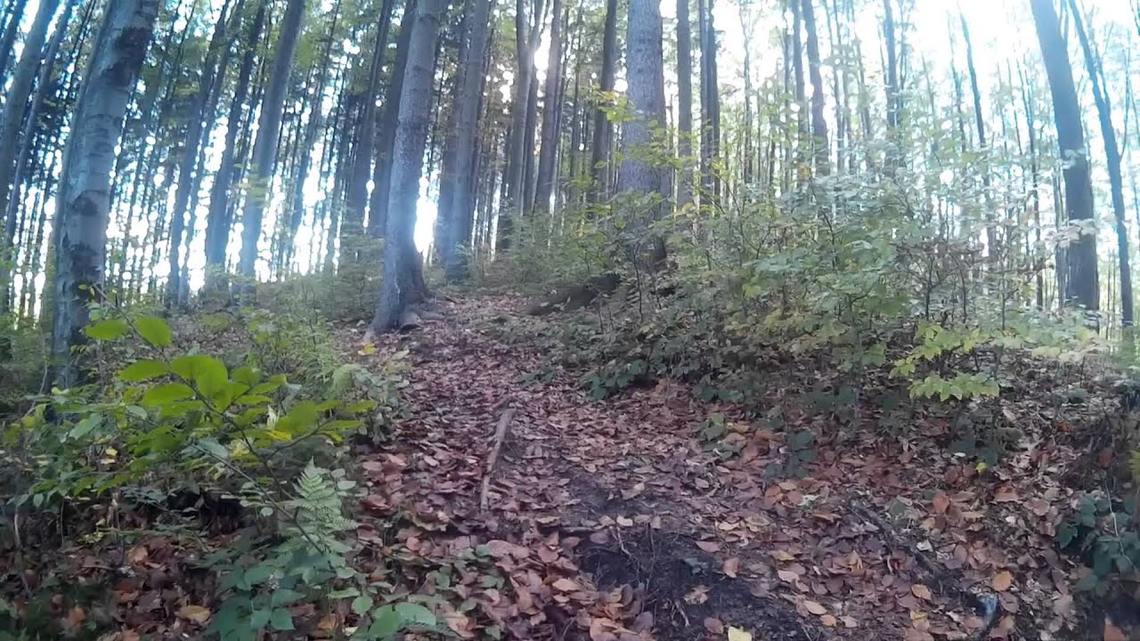 Koshore trail