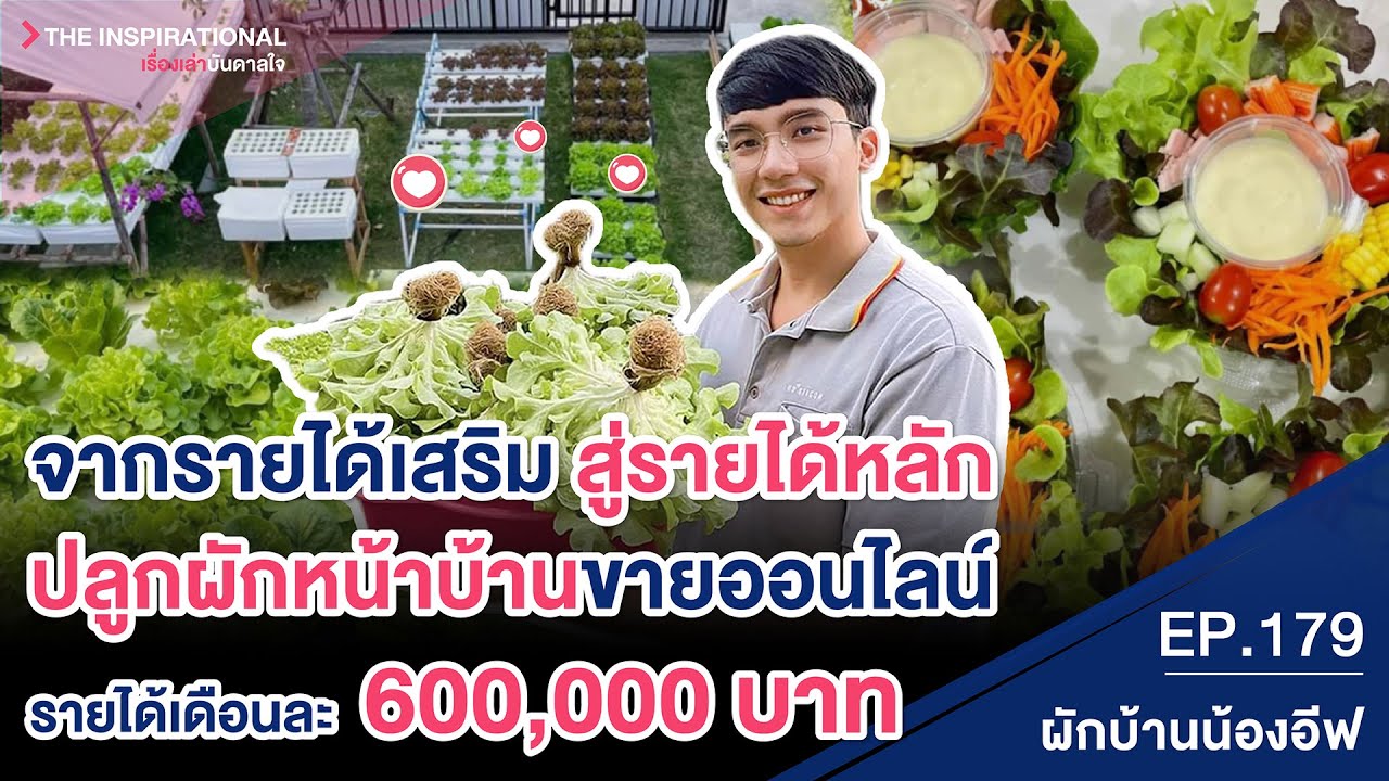 จากรายได้เสริม สู่รายได้หลัก ปลูกผักหน้าบ้านขายออนไลน์ รายได้เดือนละ 600,000 บาท I INSPIRATIONAL