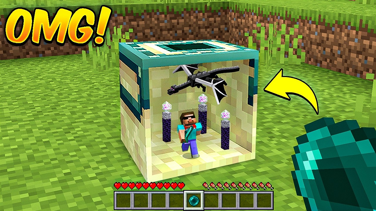 Minecraft But I Can Go Inside Blocks!
