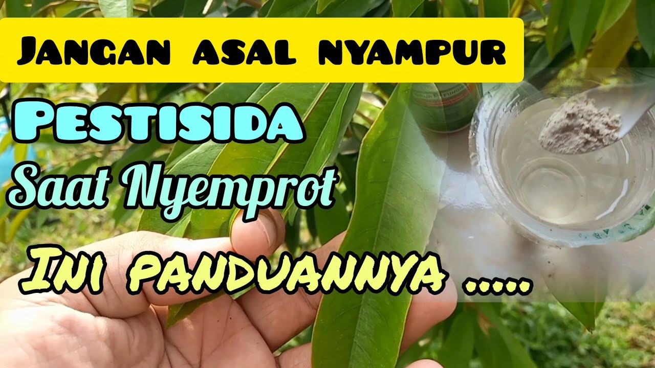 Kode insektisida dan fungisida yang tidak boleh dicampur dalam penyemprotan pohon durian