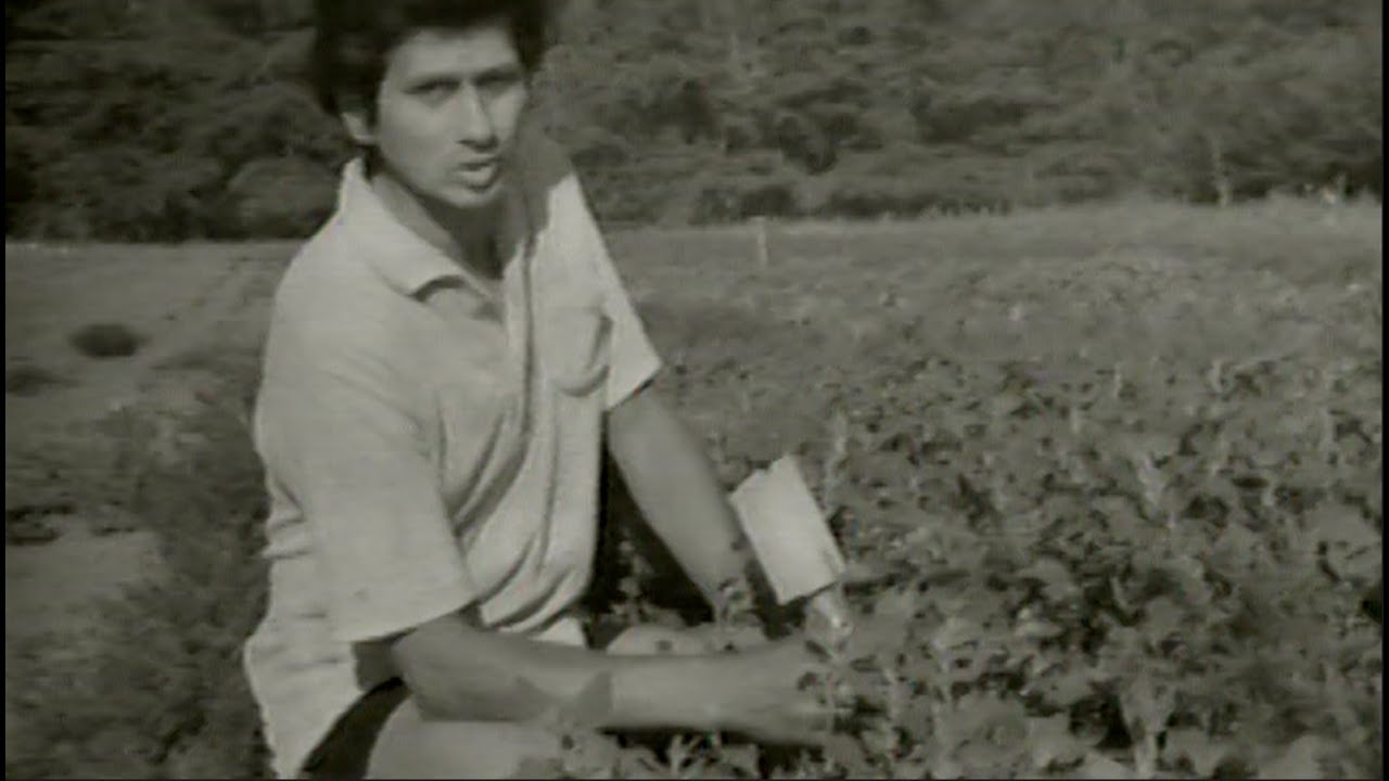Roy the Natural Farmer - Organic Farming & Spiritual Philosophy from the 1970s