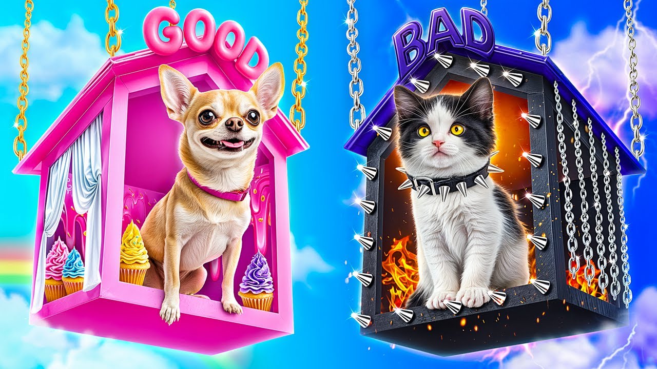 Guter Hund vs böse Katze! Wir bauen ein Minihaus für Haustiere!