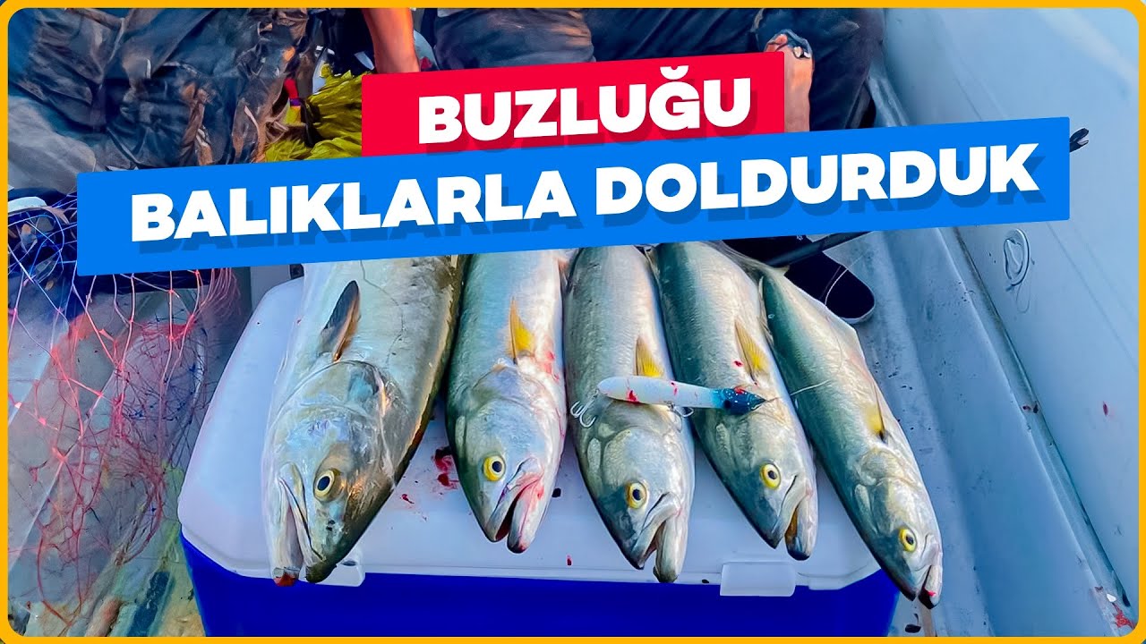 LÜFERLER BARAKÜDALAR BUZLUĞU DOLDURDUK