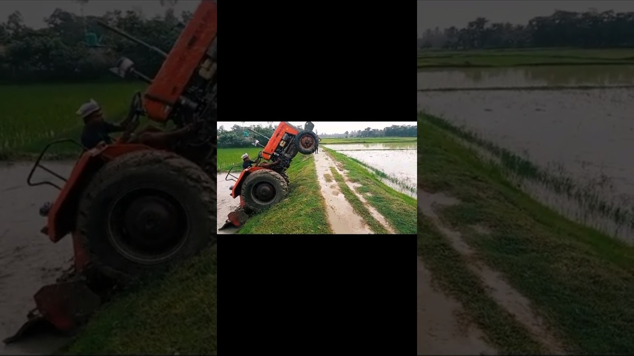 TAFE 45 DI Rotavator,,#tactorvideo#shote #tafe45di #video #viral #subscribe #equipment #tacttorr