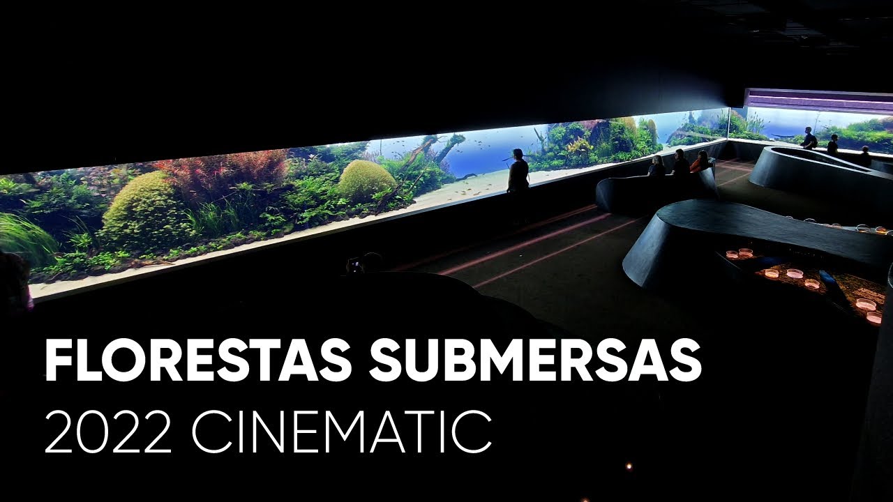 The Best Aquascape in the World: Florestas Submersas - The Ultimate Nature Aquarium by Takashi Amano