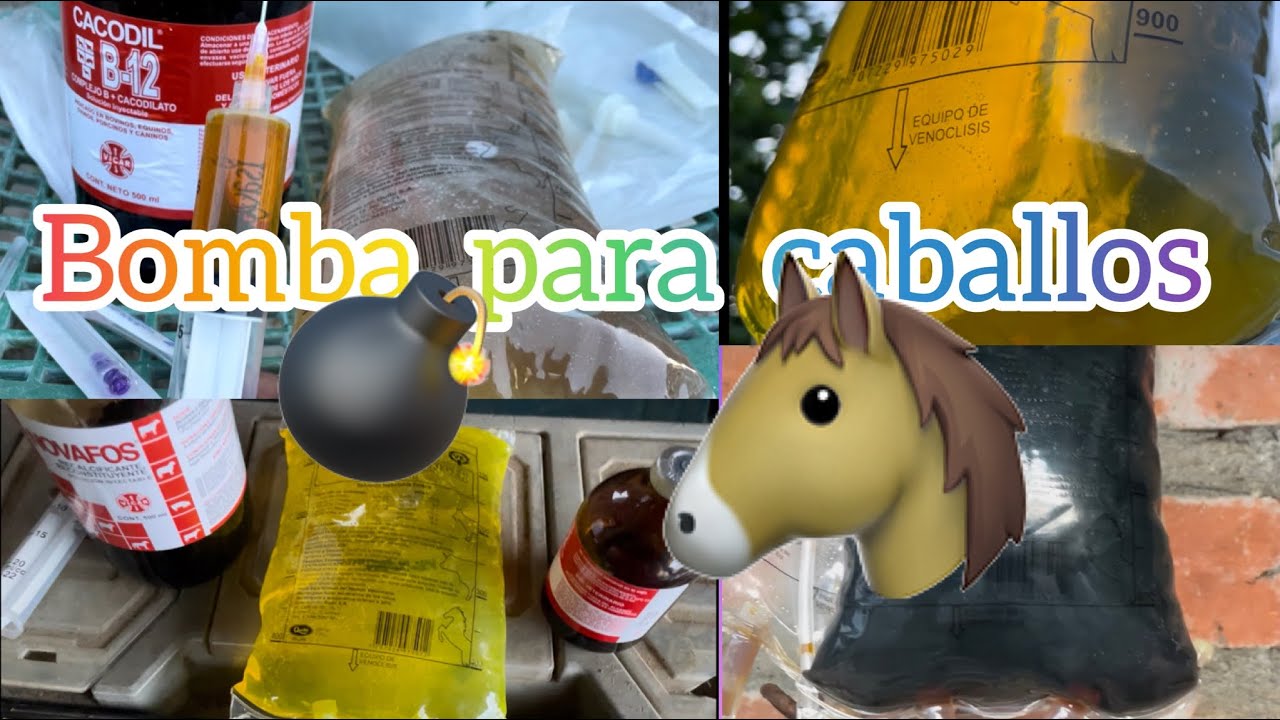 ВИТАМИННАЯ БОМБА ДЛЯ ЛОШАДЕЙ 🐴