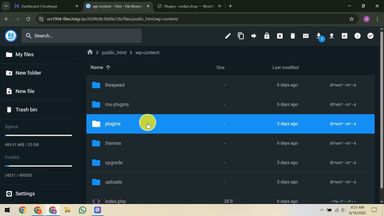 How To Fix Plugin Installation Failed in Hostinger