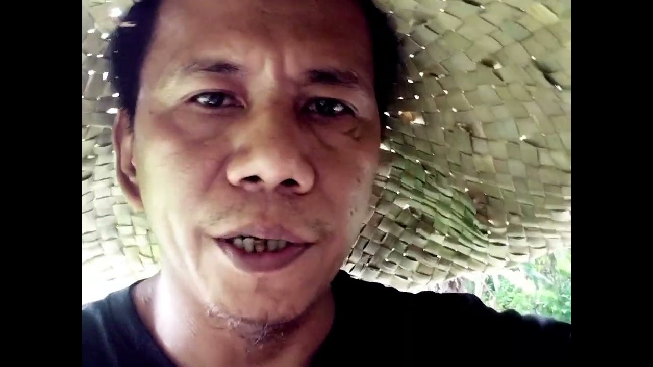   Update sa ating mga biik  1#week and 2days na apart na biik doroks