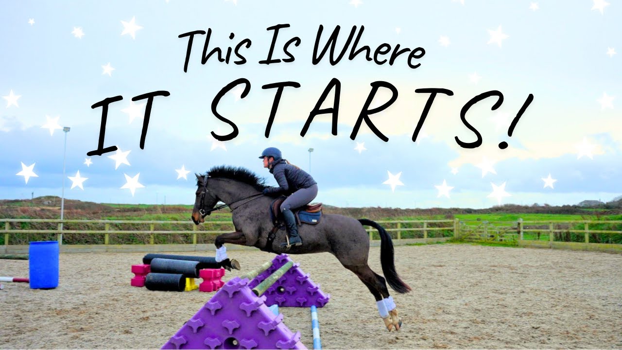 Первое преодоление препятствий | Прогресс молодой лошади дома