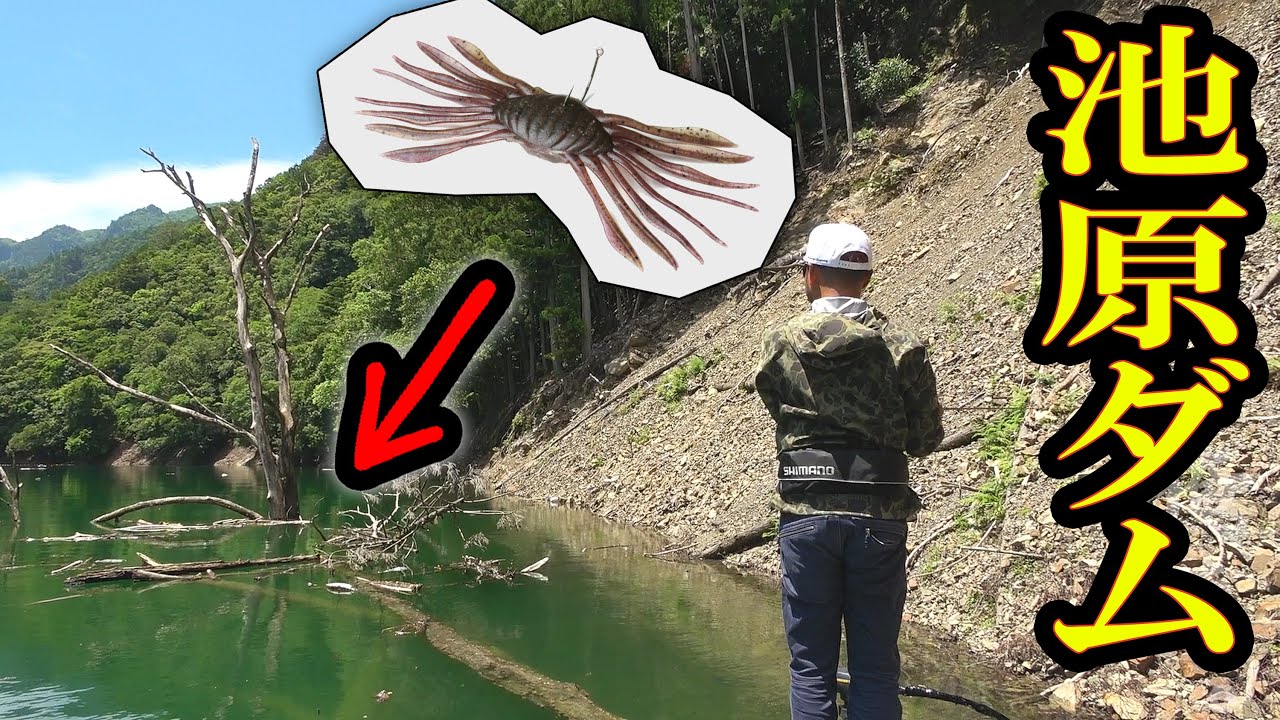 土砂崩れで無茶苦茶になっているスポットに「カニ」を落とすと…【池原ダム】