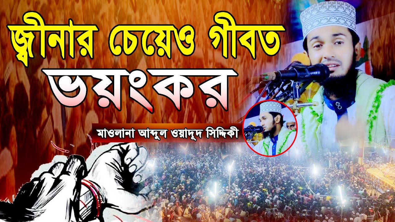 জ্বীনার চেয়ে ও গীবত ভয়ংকর । মাওলানা আব্দুল ওয়াদূদ সিদ্দিকী । abdul wadud siddiki 01782358054 new waz